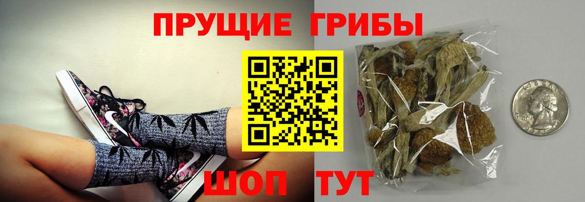 Галлюциногенные грибы Psilocybe  Вход с VPN  Севастополь 